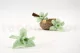 Preserved Cymbidium Orchid Green (set of 3) 6