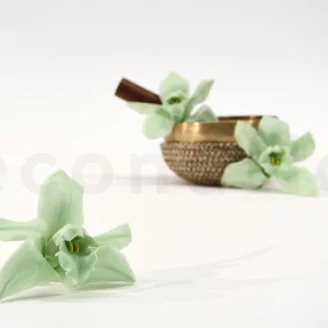 Preserved Cymbidium Orchid Green (set of 3)