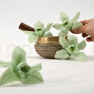 Preserved Cymbidium Orchid Green (set of 3)