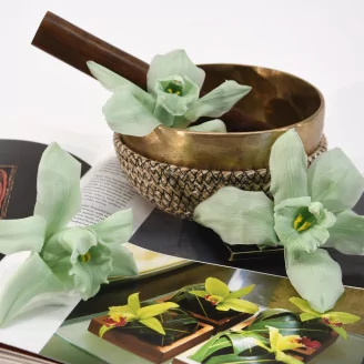 Preserved Cymbidium Orchid Green (set of 3)