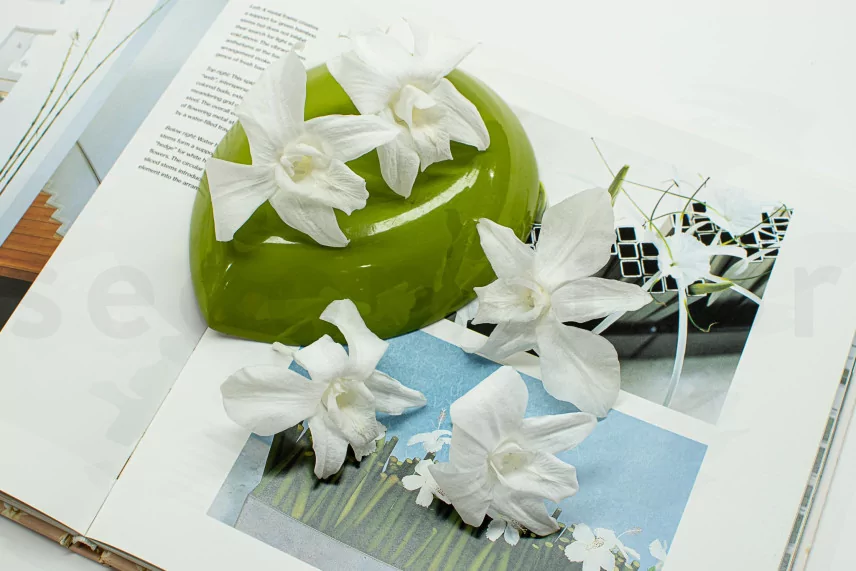 Preserved Dendrobium Orchid White (set of 5)