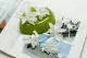Preserved Dendrobium Orchid White (set of 5) 1