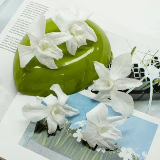 Preserved Dendrobium Orchid White (set of 5)