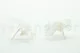 Preserved Dendrobium Orchid White (set of 5) 5