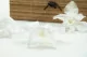 Preserved Dendrobium Orchid White (set of 5) 11