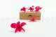 Preserved Dendrobium Orchid Pink (set of 5) 3