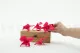 Preserved Dendrobium Orchid Pink (set of 5) 4