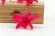 Preserved Dendrobium Orchid Pink (set of 5) 5