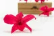 Preserved Dendrobium Orchid Pink (set of 5) 6