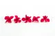 Preserved Dendrobium Orchid Pink (set of 5) 2