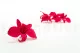 Preserved Dendrobium Orchid Pink (set of 5) 9