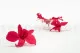 Preserved Dendrobium Orchid Pink (set of 5) 13