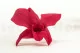 Preserved Dendrobium Orchid Pink (set of 5) 14