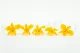 Preserved Dendrobium Orchid Yellow (set of 5) 2