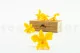 Preserved Dendrobium Orchid Yellow (set of 5) 7
