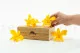 Preserved Dendrobium Orchid Yellow (set of 5) 8