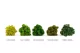 Preserved Reindeer Moss Light Green (Box) 5