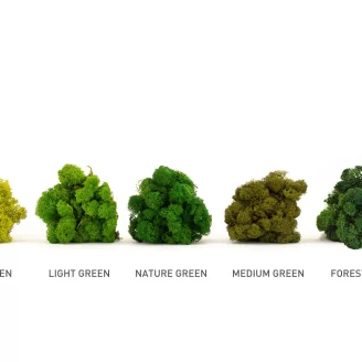 Preserved Reindeer Moss Medium Green (Bulk Box)