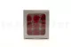 Preserved Rose M Red (set of 9) 7