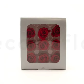 Preserved Rose M Red (set of 9)