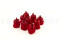 A Box Containing 9 Medium Vibrant Red Eternal Rose Heads From Kiara