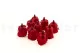 Preserved Rose M Red (set of 9) 3