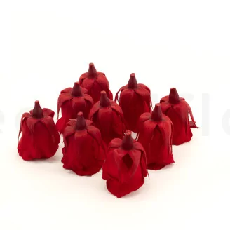 Preserved Rose M Red (set of 9)