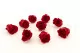 Preserved Rose M Red (set of 9) 5