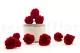 Preserved Rose M Red (set of 9) 6