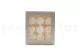 Preserved Rose M White (set of 9) 6