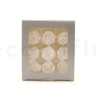 Preserved Rose M White (set of 9)