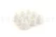Preserved Rose M White (set of 9) 2