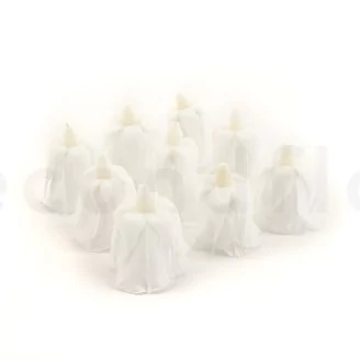 Preserved Rose M White (set of 9)
