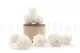 Preserved Rose M White (set of 9) 4