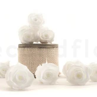 Preserved Rose M White (set of 9)