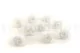 Preserved Rose M White (set of 9) 5