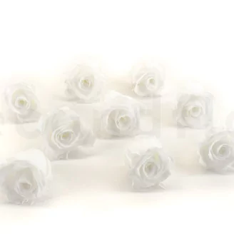 Preserved Rose M White (set of 9)