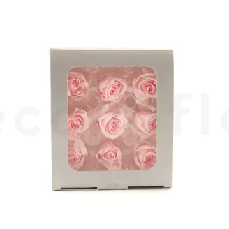 Preserved Rose M Bridal Pink (set of 9)