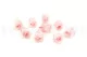 Preserved Rose M Bridal Pink (set of 9) 4