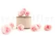 Preserved Rose M Bridal Pink (set of 9) 5