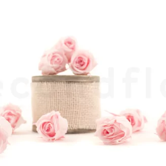 Preserved Rose M Bridal Pink (set of 9)