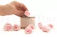 Preserved Rose M Bridal Pink (set of 9) 3