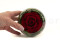 A Round Bowl Containing a Red Preserved Rose Set on Preserved Green Hydrangea.