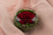 A Round Bowl Containing a Red Preserved Rose Set on Preserved Green Hydrangea.