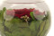 A Round Bowl Containing a Red Preserved Rose Set on Preserved Green Hydrangea.