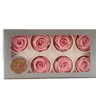 Preserved Rose L Bridal Pink (set of 8)