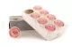 Preserved Rose L Bridal Pink (set of 8) 3