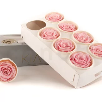 Preserved Rose L Bridal Pink (set of 8)