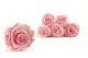 Preserved Rose L Bridal Pink (set of 8) 1