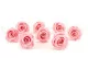 Preserved Rose L Bridal Pink (set of 8) 2